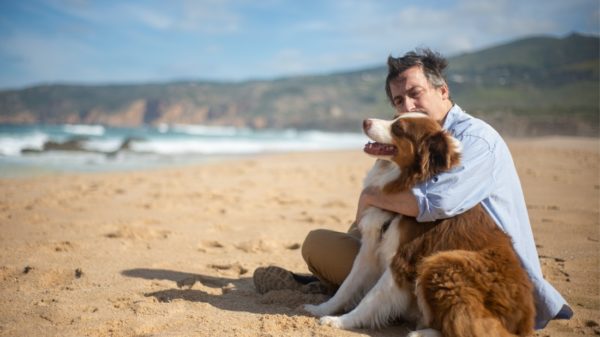 Dog and its owner on a dog friendly beache