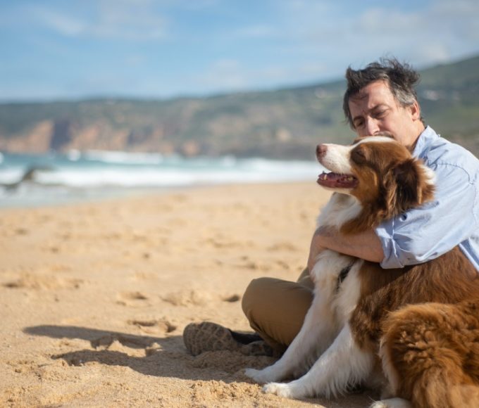 Dog and its owner on a dog friendly beache