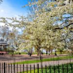 Scenic park in United Kingdom