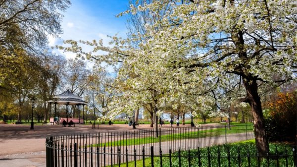 Scenic park in United Kingdom