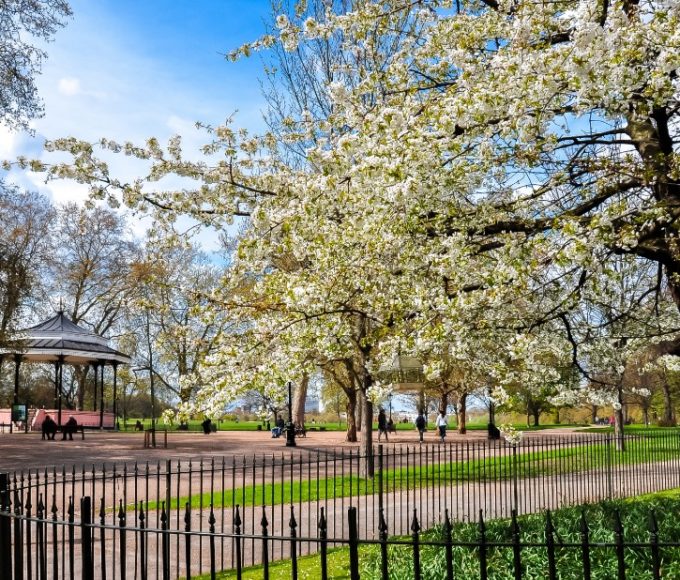 Scenic park in United Kingdom