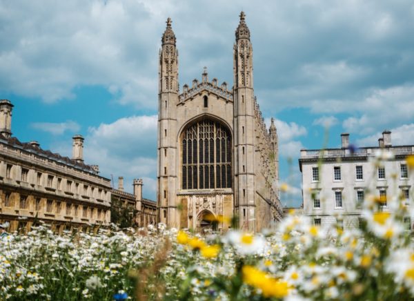 Colorful flowers surrounding King's College Chapel, Cambridge